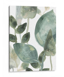 Hojas De Agua Ii - June Erica Vess | Cuadro decorativo de Canvas Lab