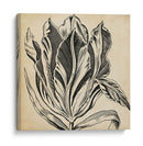 Gráfico Floral I - Vision Studio | Cuadro decorativo de Canvas Lab