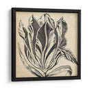 Gráfico Floral I - Vision Studio | Cuadro decorativo de Canvas Lab