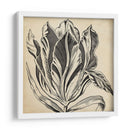 Gráfico Floral I - Vision Studio | Cuadro decorativo de Canvas Lab