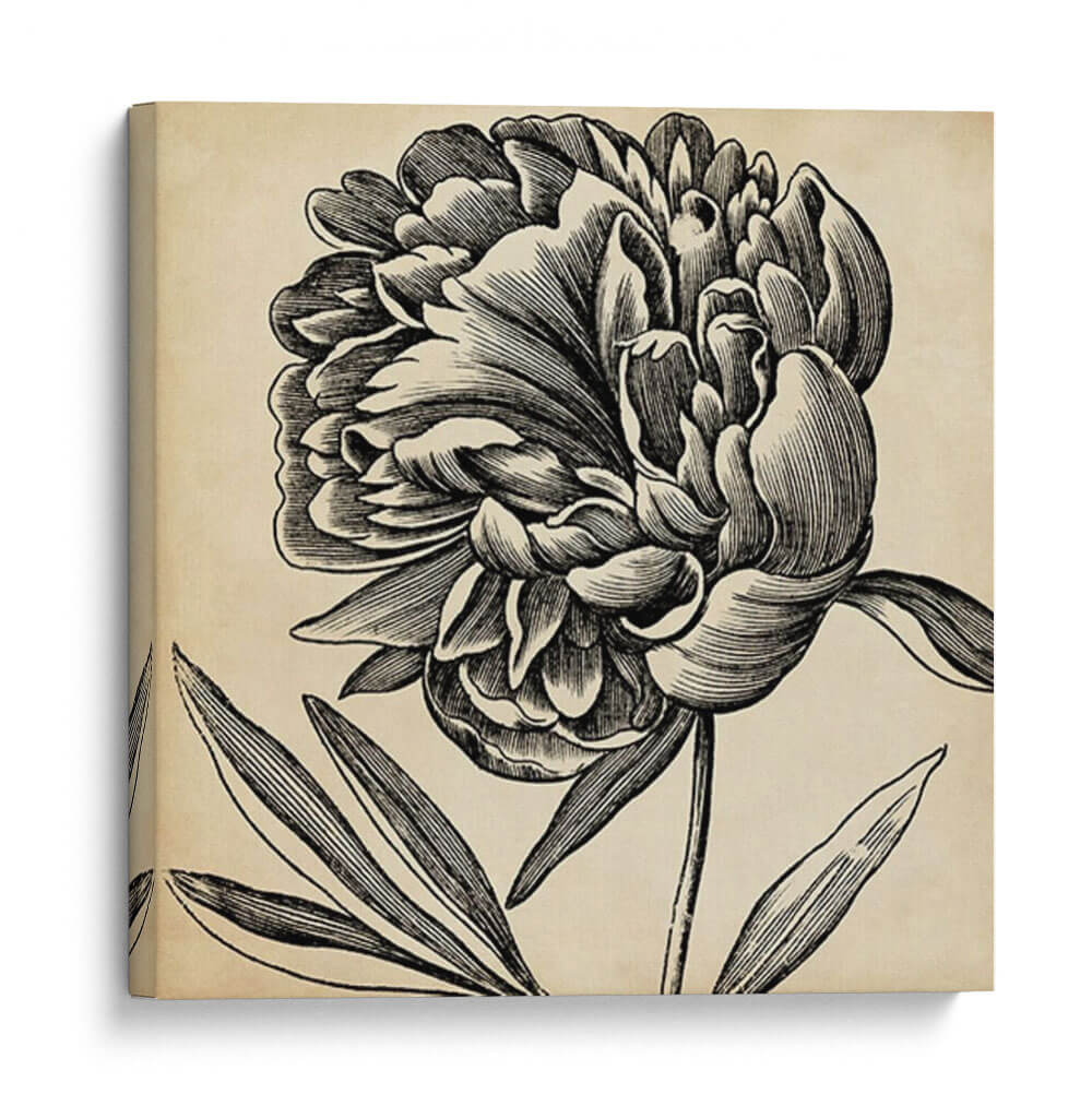 Gráfico Floral Ii - Vision Studio | Cuadro decorativo de Canvas Lab