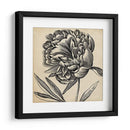 Gráfico Floral Ii - Vision Studio | Cuadro decorativo de Canvas Lab