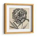 Gráfico Floral Ii - Vision Studio | Cuadro decorativo de Canvas Lab