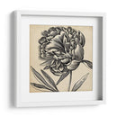 Gráfico Floral Ii - Vision Studio | Cuadro decorativo de Canvas Lab