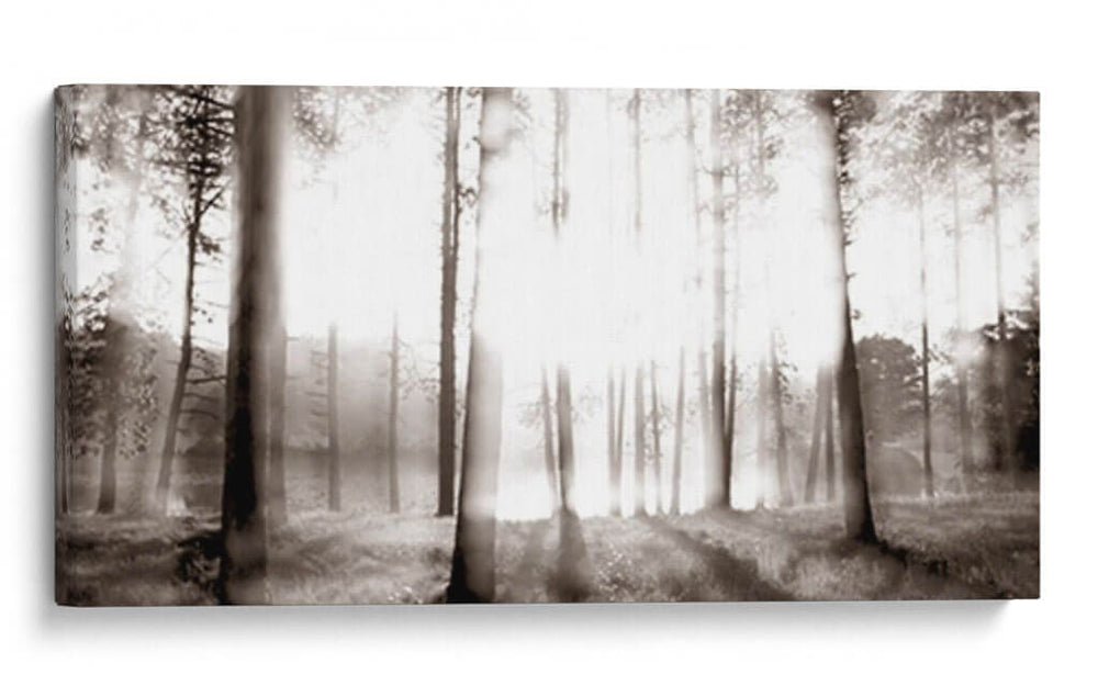 Amanecer En Los Pinos - James McLoughlin | Cuadro decorativo de Canvas Lab