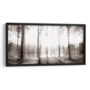 Amanecer En Los Pinos - James McLoughlin | Cuadro decorativo de Canvas Lab