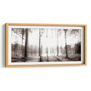 Amanecer En Los Pinos - James McLoughlin | Cuadro decorativo de Canvas Lab