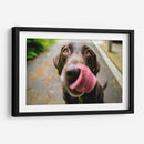 Perrito saboreando | Cuadro decorativo de Canvas Lab