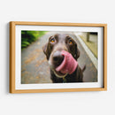 Perrito saboreando | Cuadro decorativo de Canvas Lab