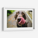 Perrito saboreando | Cuadro decorativo de Canvas Lab