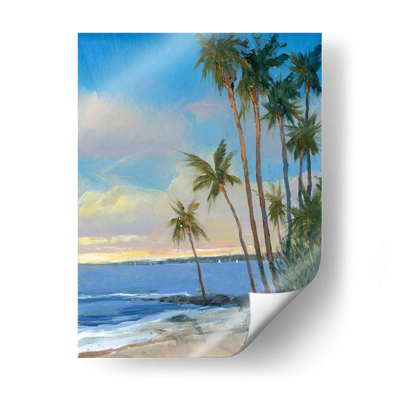 Breezca Tropical I - Tim OToole | Cuadro decorativo de Canvas Lab