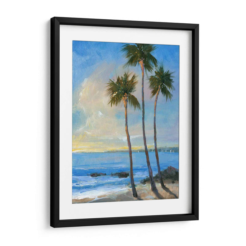 Brisa Tropical Ii - Tim OToole | Cuadro decorativo de Canvas Lab