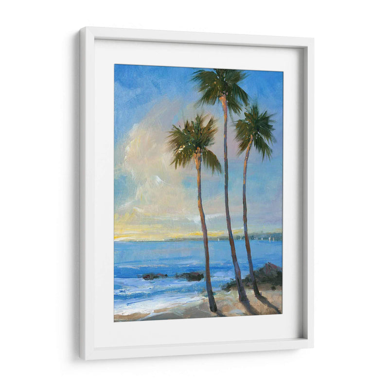 Brisa Tropical Ii - Tim OToole | Cuadro decorativo de Canvas Lab