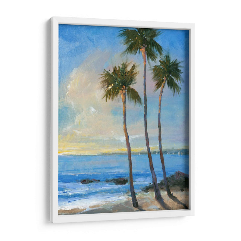 Brisa Tropical Ii - Tim OToole | Cuadro decorativo de Canvas Lab