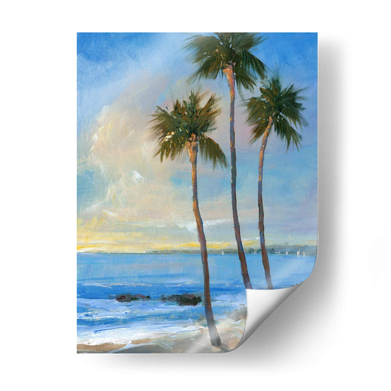 Brisa Tropical Ii - Tim OToole | Cuadro decorativo de Canvas Lab