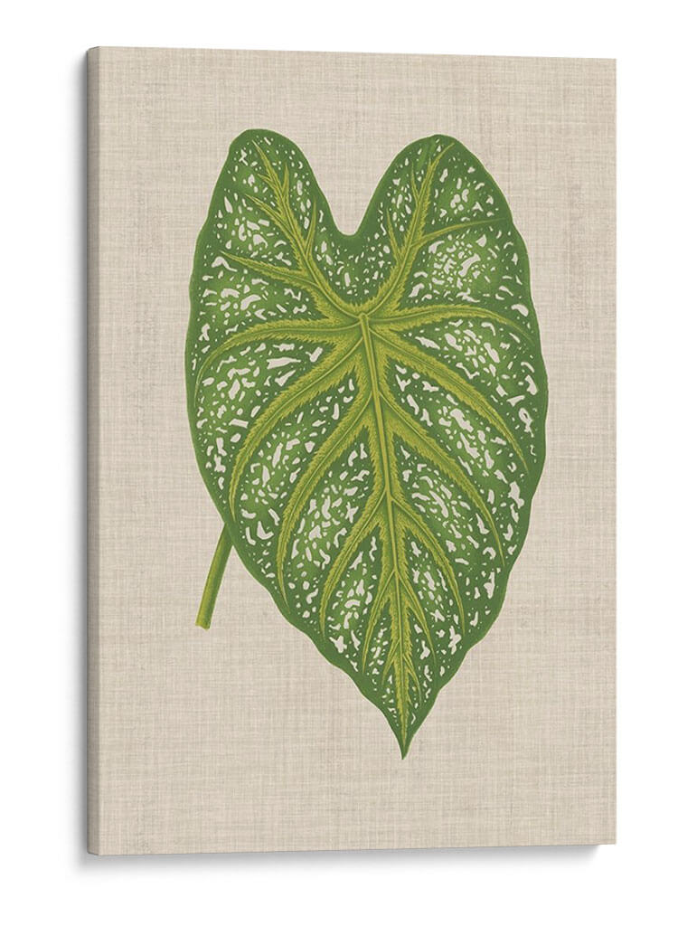 Hojas En Lino I | Cuadro decorativo de Canvas Lab