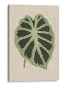 Hojas En La Ropa Ii | Cuadro decorativo de Canvas Lab