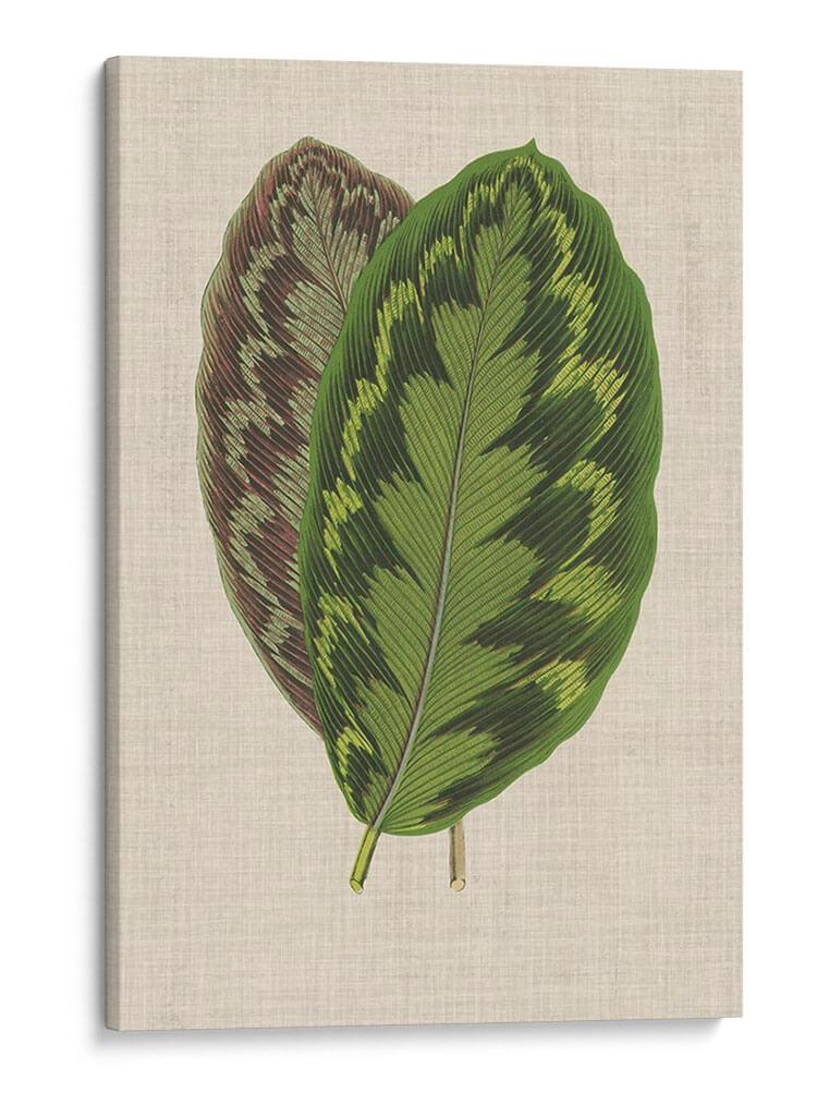 Hojas En Lino Iv | Cuadro decorativo de Canvas Lab