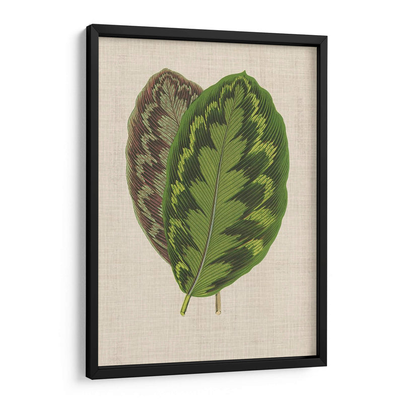 Hojas En Lino Iv | Cuadro decorativo de Canvas Lab