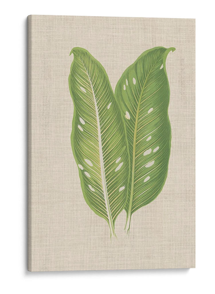 Hojas En Lino V | Cuadro decorativo de Canvas Lab
