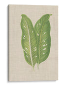 Hojas En Lino V | Cuadro decorativo de Canvas Lab