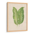 Hojas En Lino V | Cuadro decorativo de Canvas Lab
