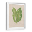 Hojas En Lino V | Cuadro decorativo de Canvas Lab