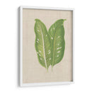 Hojas En Lino V | Cuadro decorativo de Canvas Lab