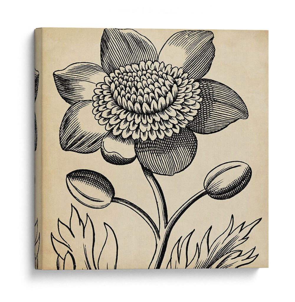 Gráfico Floral Iii - Vision Studio | Cuadro decorativo de Canvas Lab