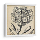 Gráfico Floral Iv - Vision Studio | Cuadro decorativo de Canvas Lab