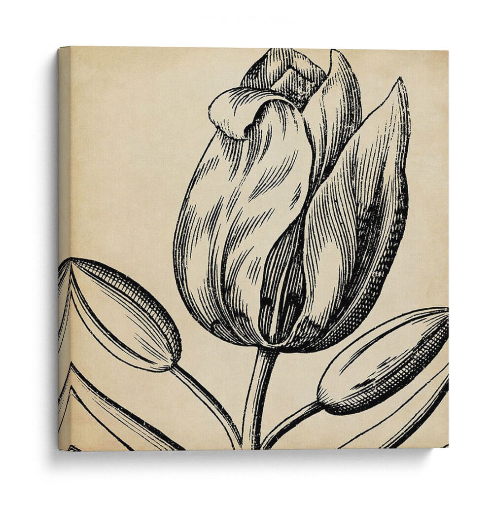 Gráfico Floral Vi - Vision Studio | Cuadro decorativo de Canvas Lab