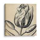 Gráfico Floral Vi - Vision Studio | Cuadro decorativo de Canvas Lab