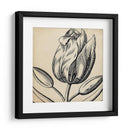 Gráfico Floral Vi - Vision Studio | Cuadro decorativo de Canvas Lab