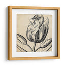 Gráfico Floral Vi - Vision Studio | Cuadro decorativo de Canvas Lab