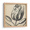 Gráfico Floral Vi - Vision Studio | Cuadro decorativo de Canvas Lab