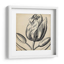 Gráfico Floral Vi - Vision Studio | Cuadro decorativo de Canvas Lab