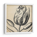 Gráfico Floral Vi - Vision Studio | Cuadro decorativo de Canvas Lab
