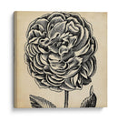 Gráfico Floral Vii - Vision Studio | Cuadro decorativo de Canvas Lab