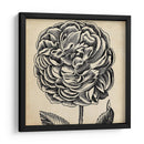Gráfico Floral Vii - Vision Studio | Cuadro decorativo de Canvas Lab