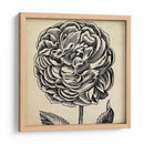 Gráfico Floral Vii - Vision Studio | Cuadro decorativo de Canvas Lab