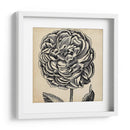 Gráfico Floral Vii - Vision Studio | Cuadro decorativo de Canvas Lab