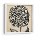 Gráfico Floral Vii - Vision Studio | Cuadro decorativo de Canvas Lab