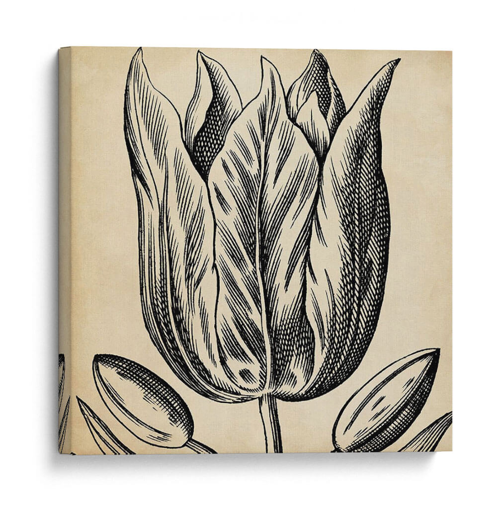 Gráfico Floral Viii - Vision Studio | Cuadro decorativo de Canvas Lab