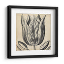 Gráfico Floral Viii - Vision Studio | Cuadro decorativo de Canvas Lab
