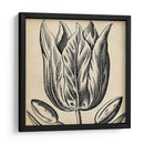 Gráfico Floral Viii - Vision Studio | Cuadro decorativo de Canvas Lab