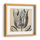 Gráfico Floral Viii - Vision Studio | Cuadro decorativo de Canvas Lab