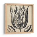 Gráfico Floral Viii - Vision Studio | Cuadro decorativo de Canvas Lab