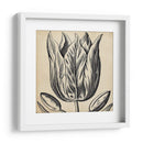Gráfico Floral Viii - Vision Studio | Cuadro decorativo de Canvas Lab