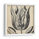 Gráfico Floral Viii - Vision Studio | Cuadro decorativo de Canvas Lab