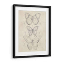 Bosquejo De Mariposa Vintage I - June Erica Vess | Cuadro decorativo de Canvas Lab